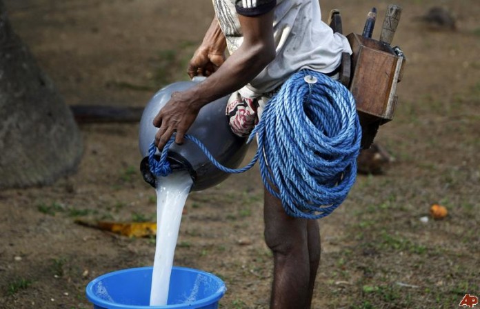 palm-toddy